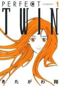 Poster for the manga Perfect Twin