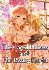 Poster for the manga Toraware no Hime to Karisome no Kishi - Hisoka na Dekiai
