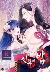 Poster for the manga The Bridal Night