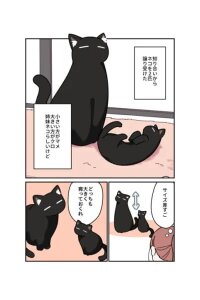 Manga poster My Black Cat is a Girl