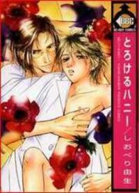 Poster for the manga Melty Honey
