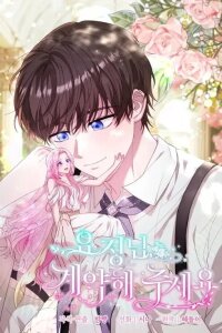 Manga poster The Fairy Pact