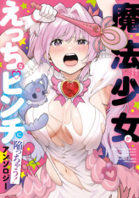 Manga poster Mahou Shoujo Ga Etchina Pinchi Ni Ochiutchau! Anthology Comic