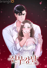 Poster for the manga Stealing The Bride