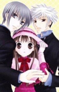 Poster for the manga Fruits Basket