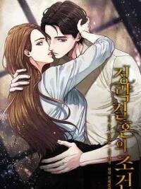 Poster for the manga Conditions For A Political Marriage