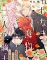 Manga poster The Nameless Monster and Two Knights: And the Fiancé Is Perplexed