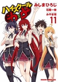 Poster for the manga High-School Dxd