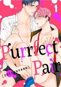 Poster for the manga Purrfect Pair