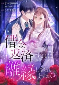 Poster for the manga If I Pay The Whole Debt Will You Accept The Divorce