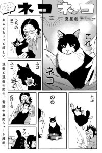 Manga poster Neko Neko