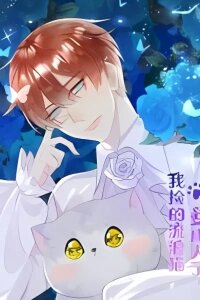 Manga poster The stray cat I picked up turned into a human?