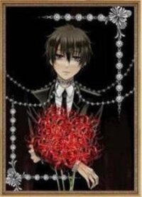 Poster for the manga Bloody Junkie