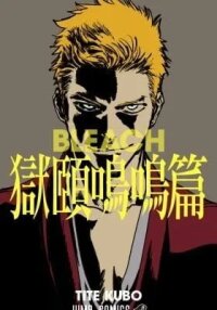 Manga poster Bleach: Special One-Shot