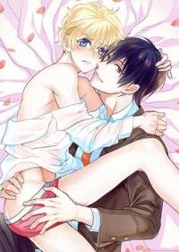 Poster for the manga Does the Carpet Match the Drapes?