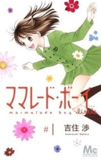 Poster for the manga Marmalade Boy Little