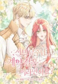 Manga poster Sub-Male Lead, You Said It Was A Contract Marriage?