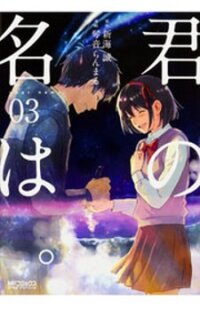 Poster for the manga Kimi No Na Wa.