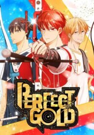 Poster for the manga Perfect Gold