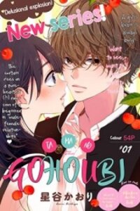 Poster for the manga Tama No Gohoubi