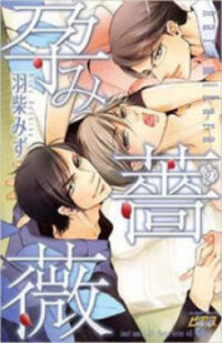 Poster for the manga Harami Bara