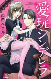 Poster for the manga Aigan Cinderella