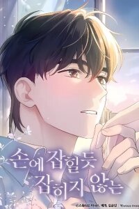 Manga poster Elusive Touch