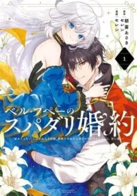 Manga poster THE PRINCESS GROOM