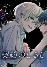 Manga poster Boku ni shika Mienai Kimi