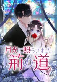 Manga poster The Path Of The Briars In The Moonlight