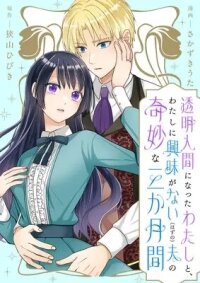 Manga poster Three Strange Months as an Invisible Wife.