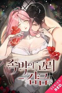 Manga poster Ring of Bondage - Confinement