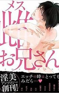 Manga poster Mesu Oniisan Anthology