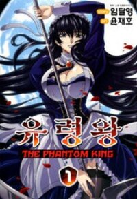 Poster for the manga Akinbo King