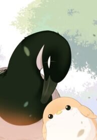 Poster for the manga Southern Bird and Northern Bird