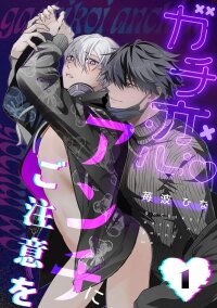 Manga poster Beware The Haters In Love